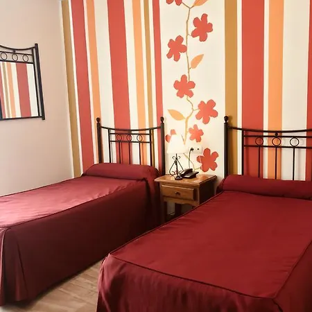 Rosas Priego de Córdoba